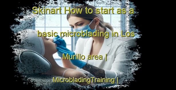 Skinart How to start as a basic microblading in Los Murillo area | MicrobladingTraining | MicrobladingClasses | SkinartTraining-Mexico